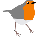robin bird grey and orange