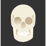 FX13 skull