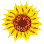 FX13 sunflower