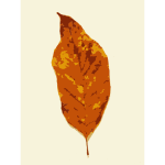 Glossy autumn leaf vector image | Free SVG