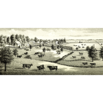 Farm scene image