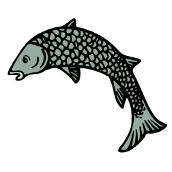 Fish 36