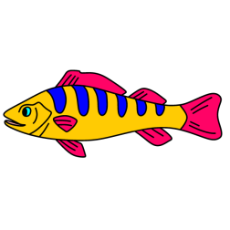 Fish 38