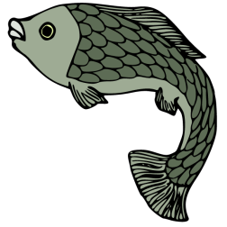 Fish 39