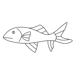 Fish 54