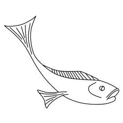 Fish 55