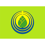 Flag of Kawashima Gifu