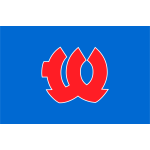 Flag of Kitahiyama Hokkaido