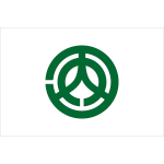 Flag of Kochi Hiroshima