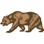 Zoo bear vector image