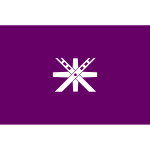 Official flag of Tochigi vector image