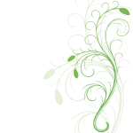 Vector graphics of swirling floral design element