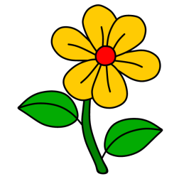 Flower 102