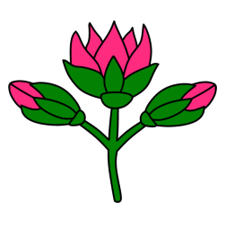Flower 103