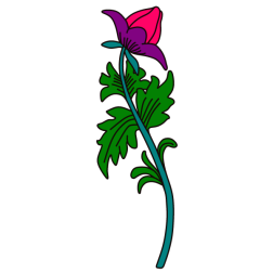 Flower 106