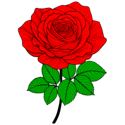 Flower 108