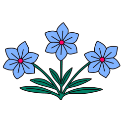 Flower 111-1757931748