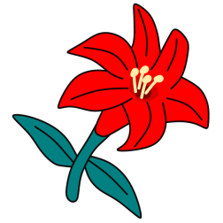 Flower 113