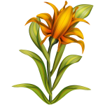 Floral plant color illustration