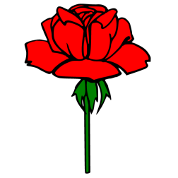 Flower 123