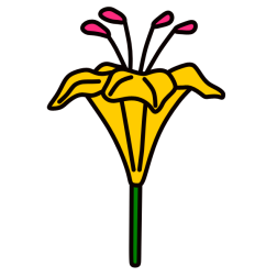 Flower 132-1762344755