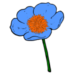 Flower 68