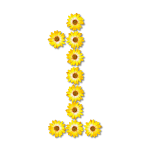 Floral numeral