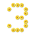 Floral number 3