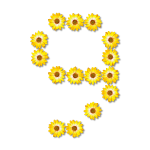 Yellow flowery number nine