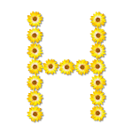 H made with flowers