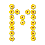 M made of sunflowers