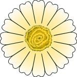Vector clip art of daisy petals
