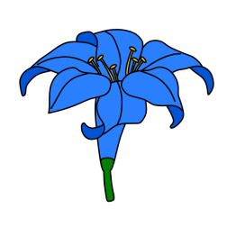 Flowers 62