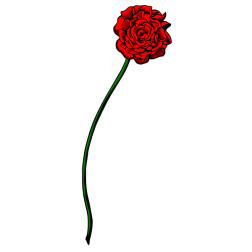 Flowers 70