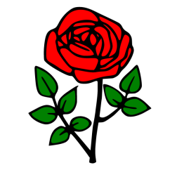 Flowers 79