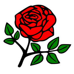 Flowers 83