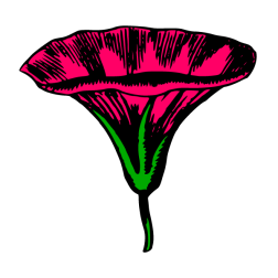 Flowers 84