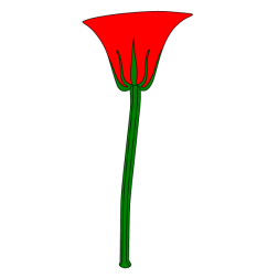 Flowers 86