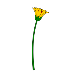 Flowers 87