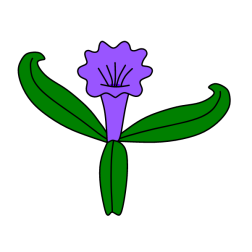 Flowers 95