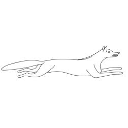Fox 14