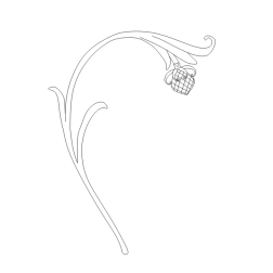 Fruit II
