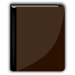 Shiny brown book