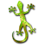 Colorful lizard vector