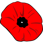 Remembrance Day poppy vector image