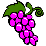 Vector image of grapes