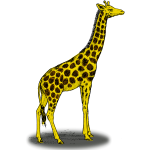 Colored giraffe vector clip art