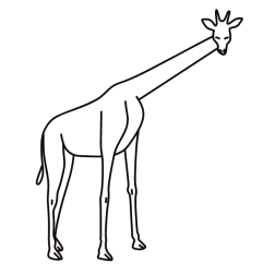 Giraffe 6