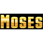 Gold Moses Typography