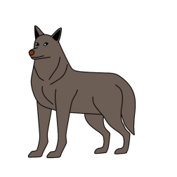 Good-natured wolf